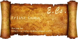 Erlitz Csaba névjegykártya